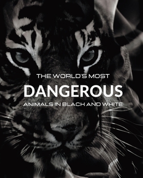 Paperback The World's most DANGEROUS ANIMALS in Black and White: Black-and-white photo album with 45 photographs and captions Book