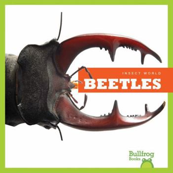 Hardcover Beetles Book