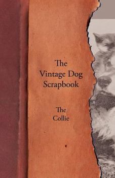 Paperback The Vintage Dog Scrapbook - The Collie Book