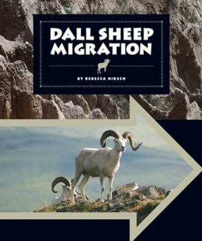 Dall Sheep Migration - Book  of the Animal Migrations