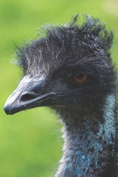 Emu: Notizbuch / Tagebuch  - DIN A5 120 Seiten liniert -  Vogel Geschenk Vogelliebhaber (German Edition)