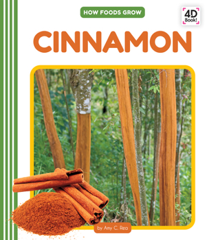 Library Binding Cinnamon Book