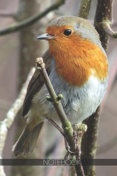 Notebook: Nature bird red robin winter [110 pages]: Nature bird red robin winter