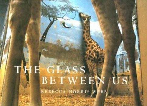 The Glass Between Us: Reflections Of Urban Creatures