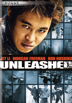 DVD Unleashed Book