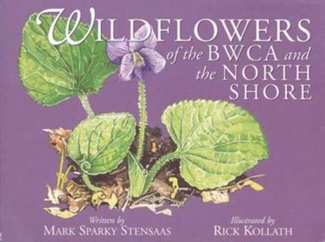 Paperback Wildflowers of Bwca and the North Shore Book