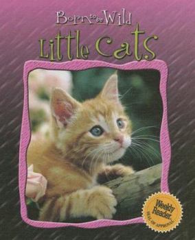 Library Binding Little Cats Book