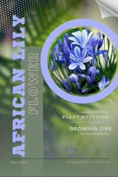 African Lily: Flower overview and Growing Tips