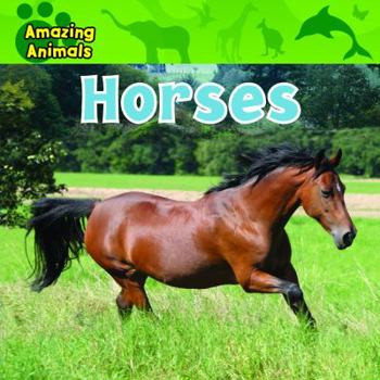 Library Binding Horses Book