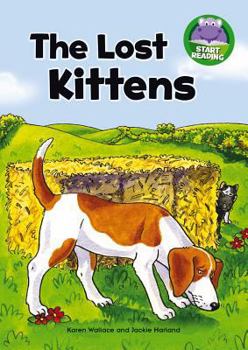 Paperback The Lost Kittens (Start Reading) Book