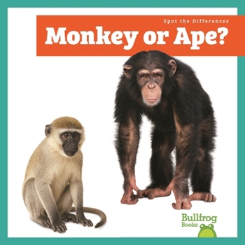 Library Binding Monkey or Ape? Book
