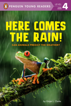 Paperback Here Comes the Rain!: Can Animals Predict the Weather? Book