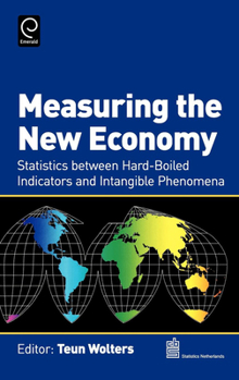 Hardcover Measuring the New Economy: Statistics Between Hard-Boiled Indicators and Intangible Phenomena Book