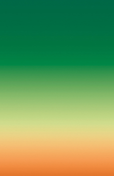 Paperback Stefan Heyne: Naked Light Book