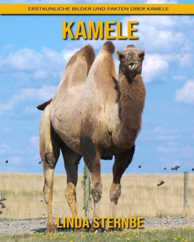 Paperback Kamele: Erstaunliche Bilder und Fakten ?ber Kamele [German] Book