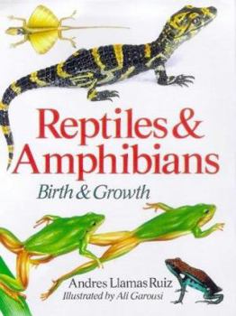 Hardcover Reptiles and Amphibians: Birth and Growth Book