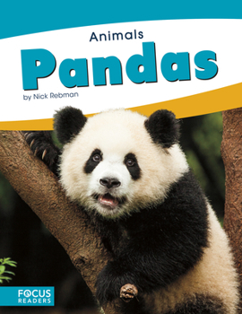 Pandas (ANIMALS - Book  of the Focus Readers' Animals