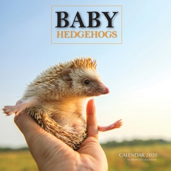 Paperback Baby Hedgehogs Calendar 2020: 16 Month Calendar Book