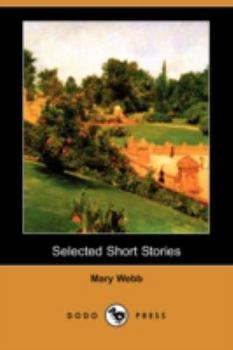 Paperback Selected Short Stories (Dodo Press) Book