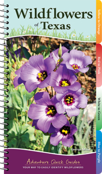 Spiral-bound Wildflowers of Texas: Your Way to Easily Identify Wildflowers Book