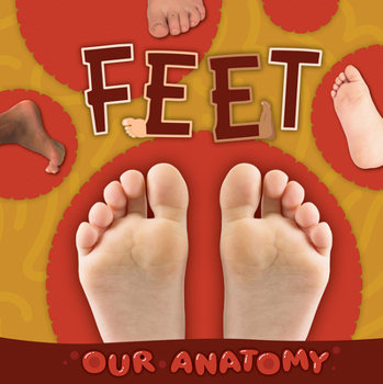 Feet (Our Anatomy)