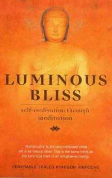 Paperback Luminous Bliss Book