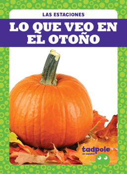 Library Binding Lo Que Veo En El Otoño (What I See Fall) Book