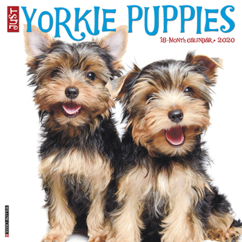 Calendar Just Yorkie Puppies 2020 Wall Calendar (Dog Breed Calendar) Book