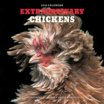 Calendar Extraordinary Chickens 2018 Wall Calendar Book