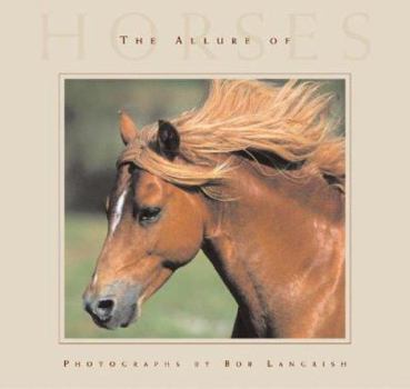 Hardcover The Allure of Horses Book