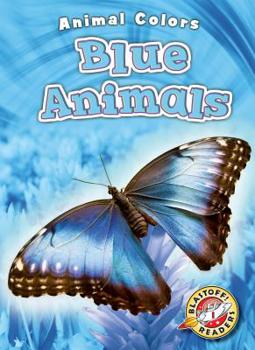 Library Binding Blue Animals Book