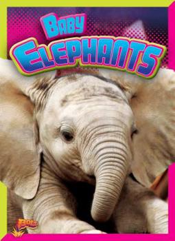 Paperback Baby Elephants Book
