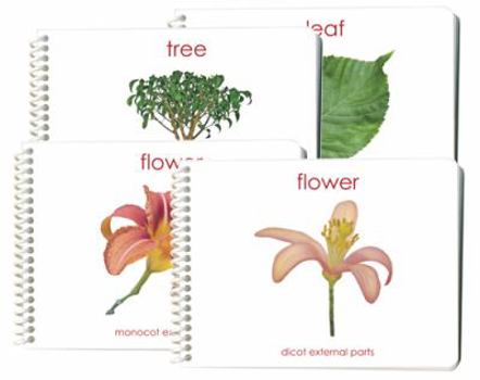 Spiral-bound Botany External Anatomy Book Set (4 Book Set including Dicot Flower, Monocot Flower, Leaf, and Tree) Book