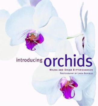 Paperback Introducing Orchids Book