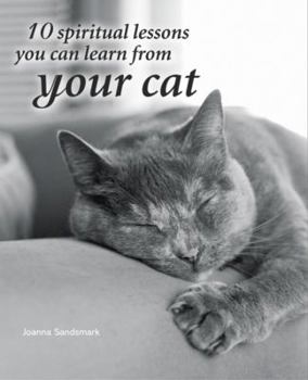 Hardcover 10 Spiritual Lessons You Can Learn from Your Cat Book