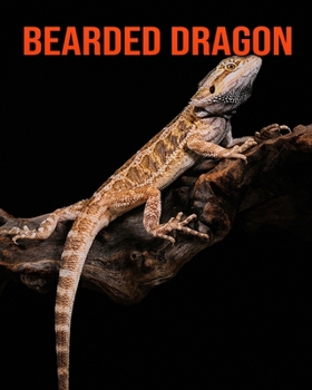 Paperback Bearded Dragon: Fun Learning Facts About Bearded Dragon Book