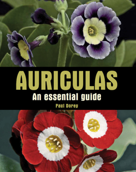 Hardcover Auriculas: An Essential Guide Book