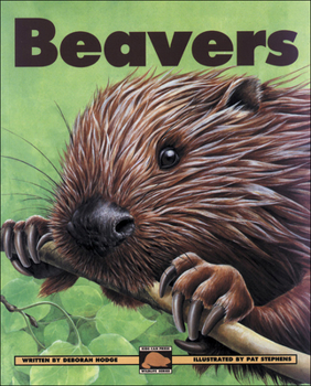 Hardcover Beavers (Kids Can Press Wildlife Series) Book