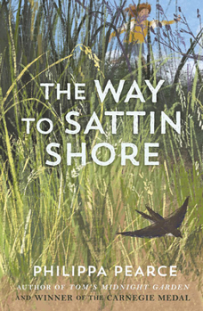 Paperback The Way to Sattin Shore Book
