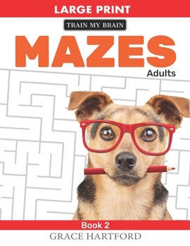 Paperback Mazes Adults: (Book 2) [Large Print] Book