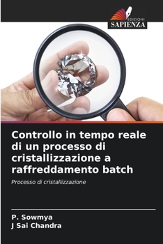 Paperback Controllo in tempo reale di un processo di cristallizzazione a raffreddamento batch [Italian] Book