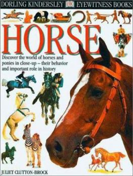 Hardcover Horse (DK Eyewitness Books) Book