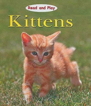 Library Binding Kittens Book