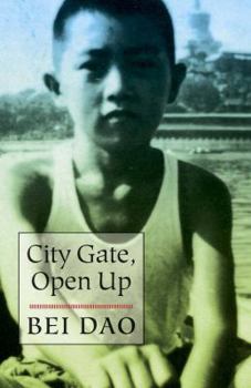 Paperback City Gate, Open Up Book