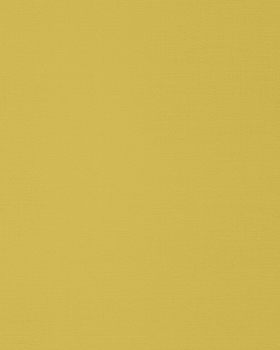 Notebook: 8 x 10 inches, lined paper, 100 pages (yellow notebook/journal/composition book).