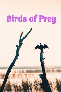 Birds of Prey: Writing journal/ Composition Notebook / Journal / Diary / Birds of Prey