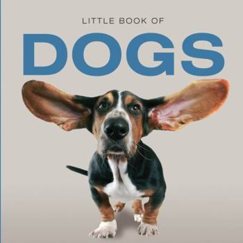 Hardcover Little Book of Dogs Book