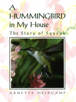 Hardcover A Hummingbird in My House: The Story of Squeak Book