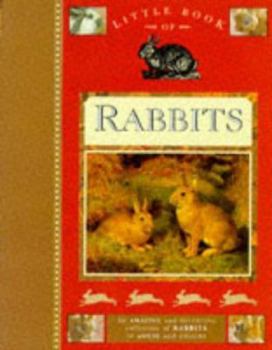 Hardcover Little Book of Rabbits Book