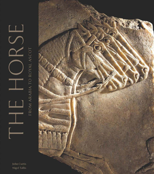 Hardcover The Arabian Horse Book